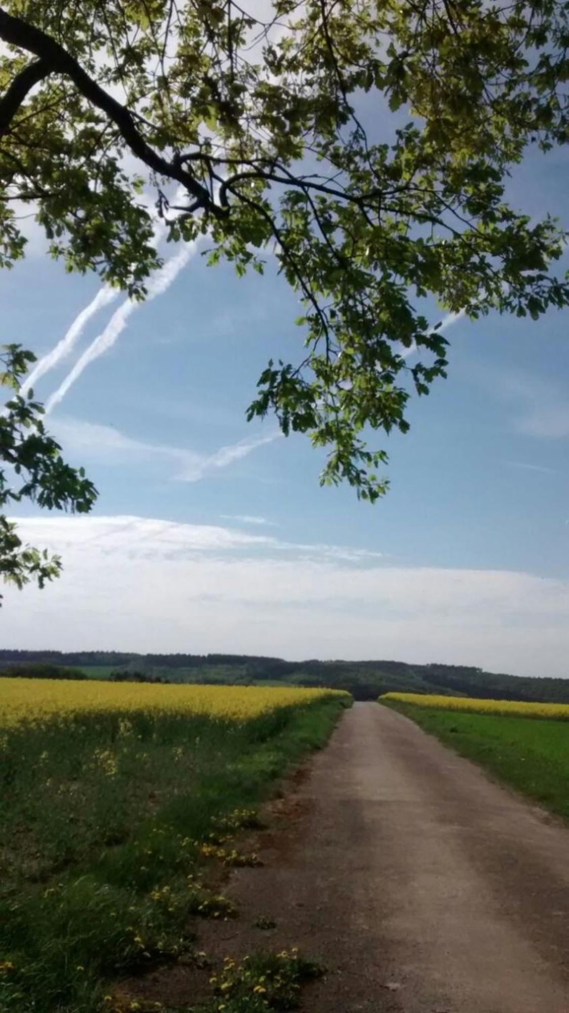 Ferienwohnung Otto Kleinich Exteriör bild