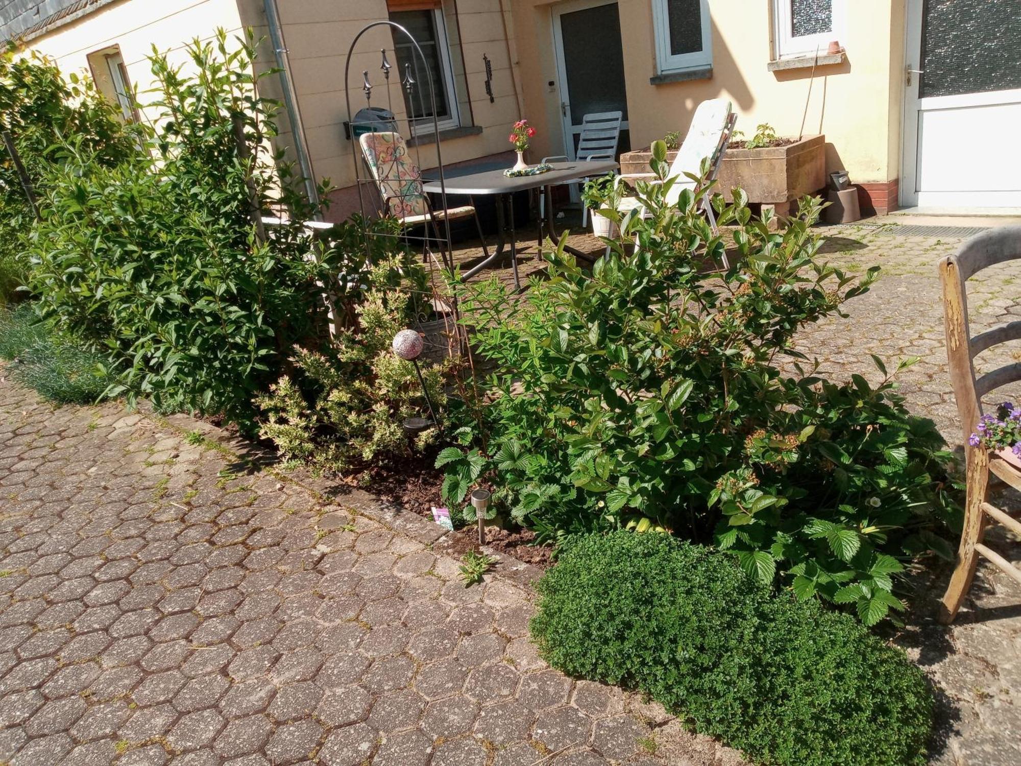Ferienwohnung Otto Kleinich Exteriör bild